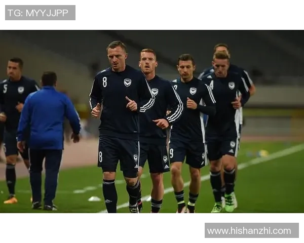 澳超联赛客场表现分析及球队效率对比研究