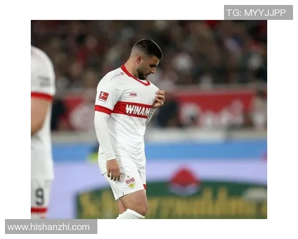 霍芬海姆逆袭成功：德甲险些降级，终获惊险逃离！